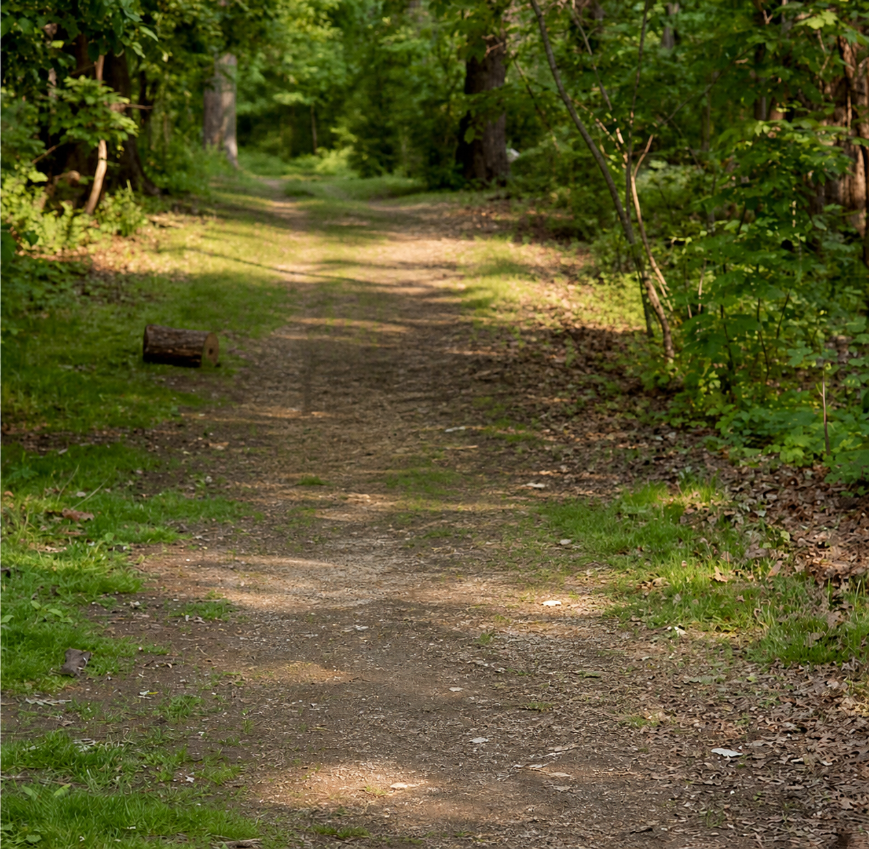 Gravel property access improved by Drama Free Dirt Work